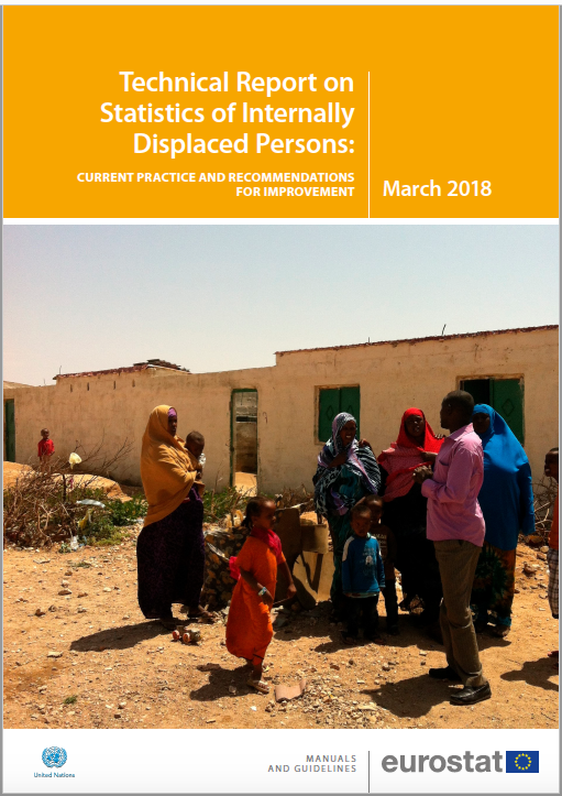 Technical Report on Statistics of Internally Displaced Persons (2018)