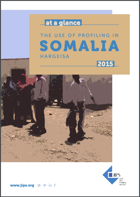 Profile At a Glance: The Use of Profiling in Somalia (Hargeisa, 2015)