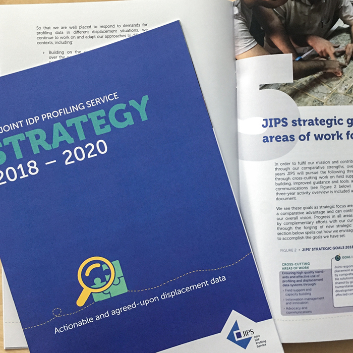 Strategy JIPS Joint IDP Profiling Service