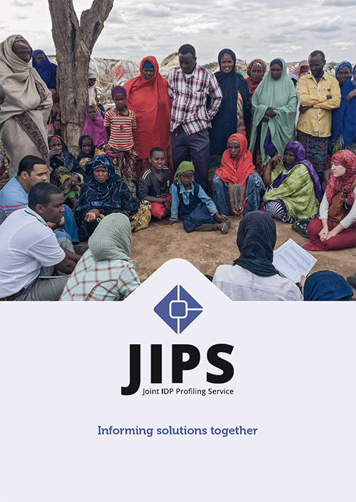 JIPS' Organisational Brochure: Who We Are & How We Work to 
