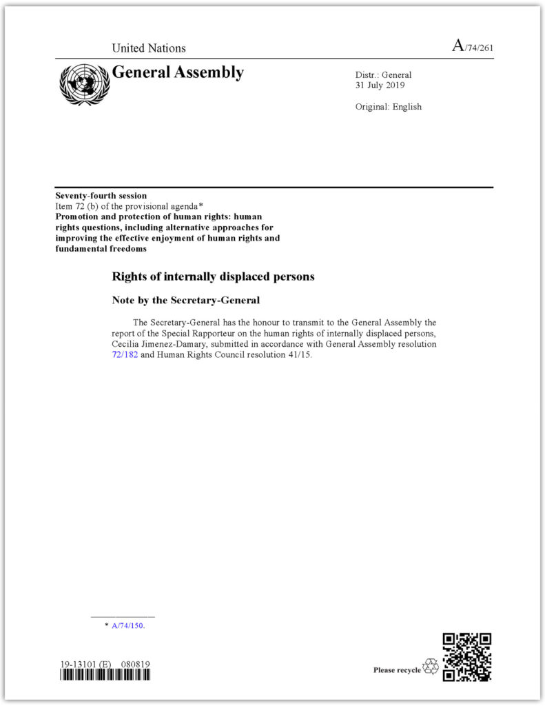 UN General Assembly - Report of the Special Rapporteur on the Rights of IDP children (2019, A/74/261)