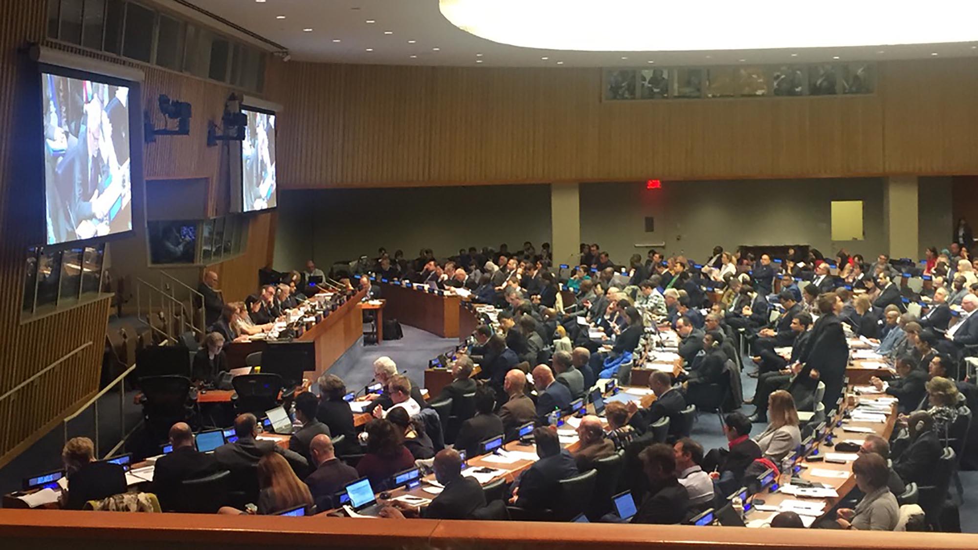 JIPS-UNSC51-Mar2020-plenary