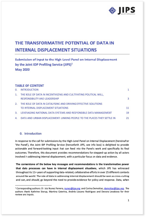 The Transformative Potential of Data in Internal Displacement Situations (JIPS, 2020)