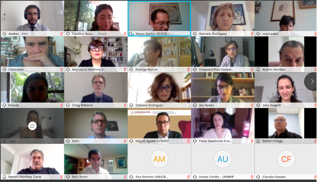 Screenshot of the online meeting