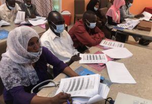 Enumerator training session in El Fasher (Sudan)