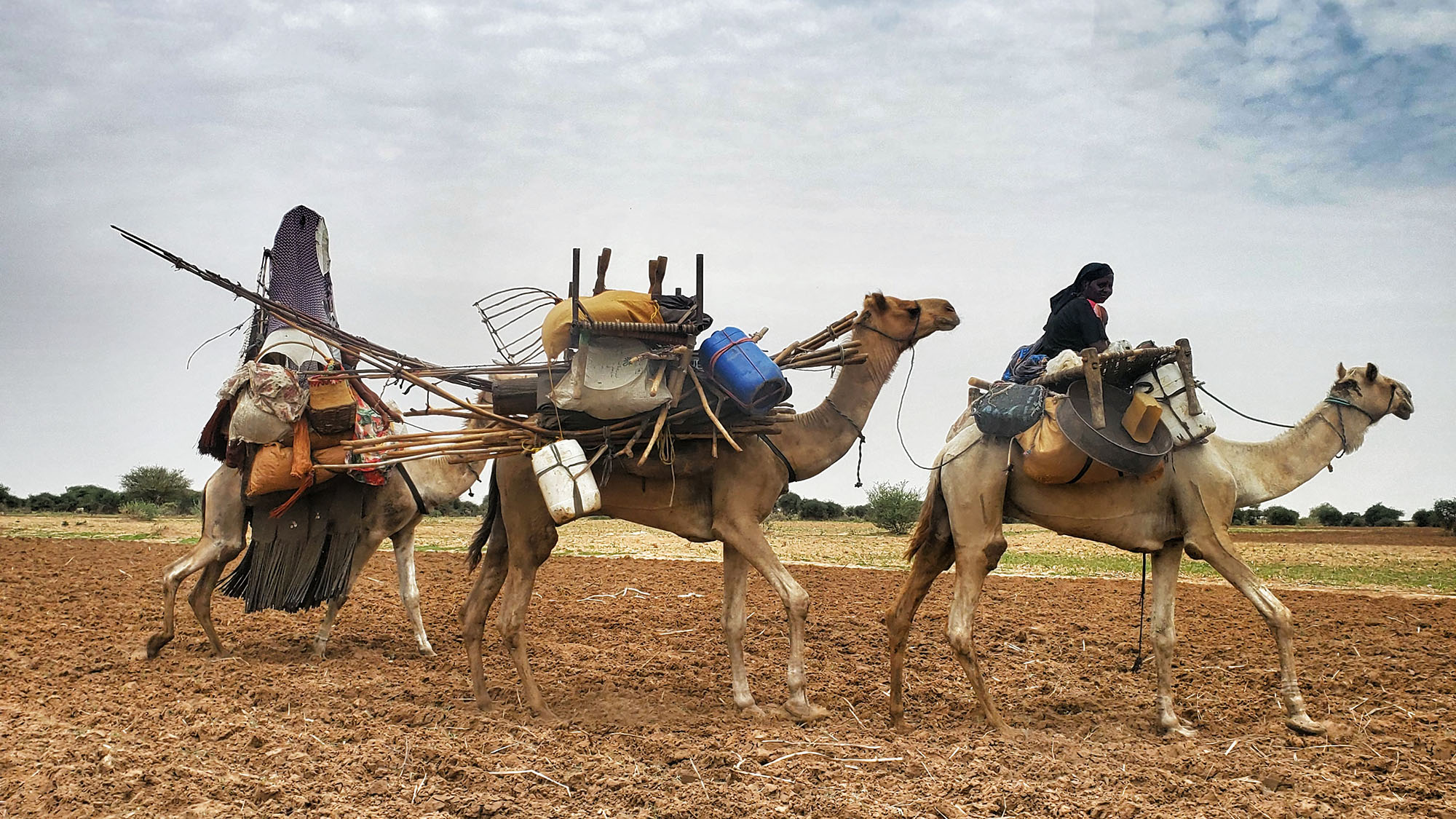 Sudan-Nertiti-Credit-UNHCR-SaimaHassan