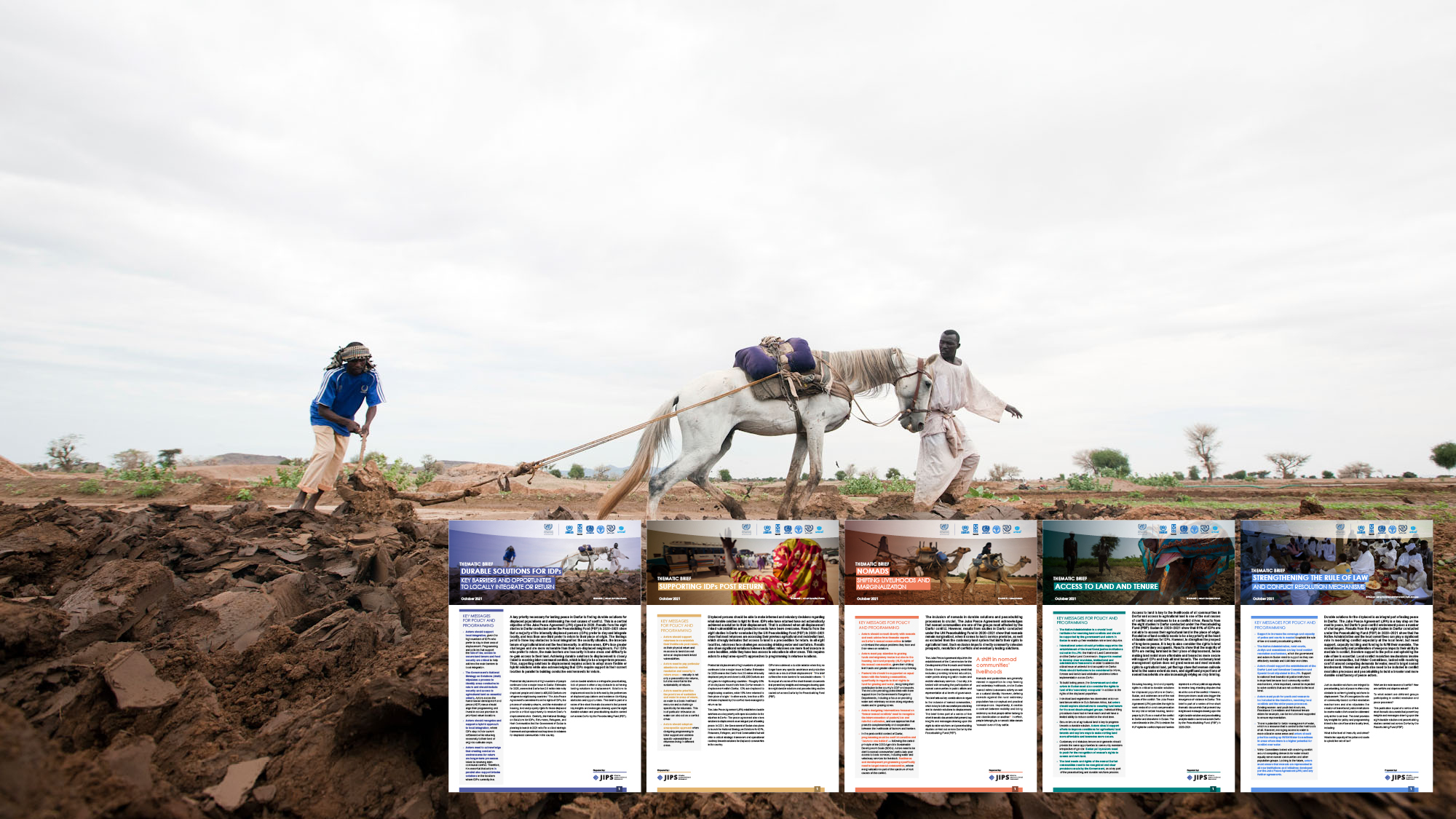 Sudan-PBF2021-5thematic_Briefs-web