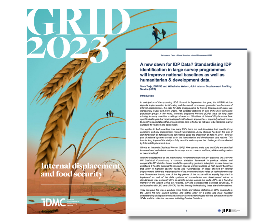 A new dawn for IDP Data? Standardising IDP identification in large survey programmes will improve national baselines as well as humanitarian & development data (JIPS, GRID2023)