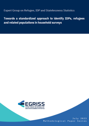 Towards a standardized approach to identify IDPs, refugees and related populations in household surveys (EGRISS 2023)