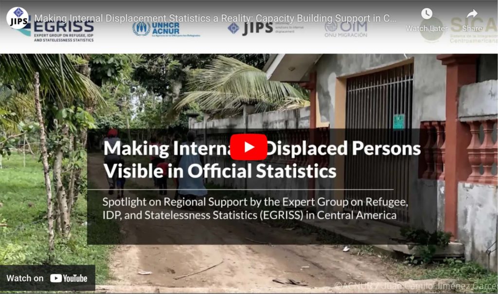 Making Internal Displacement Statistics a Reality: Regional Capacity Building Support in Central America