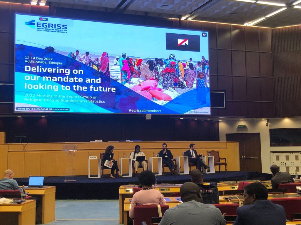 EGRISS All Members 2022: Spotlighting the link between IDP Statistics and Durable Solutions